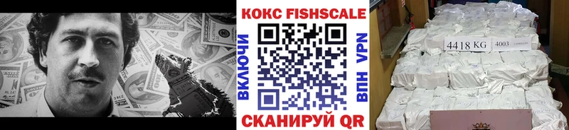 shop какой сайт  где купить   Тара  Cocaine 99%  omg ССЫЛКА 