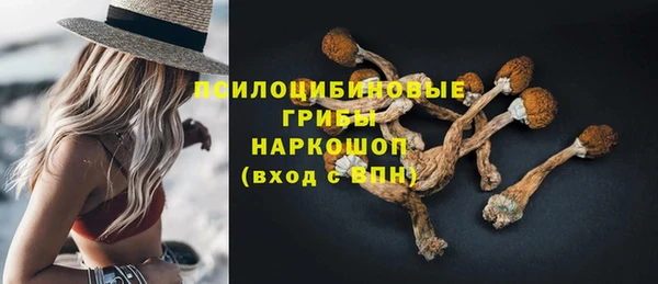 герыч Алексин