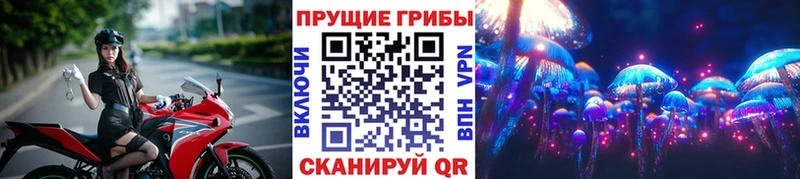 сайты даркнета клад  дарнет шоп  Тара  Галлюциногенные грибы Magic Shrooms 
