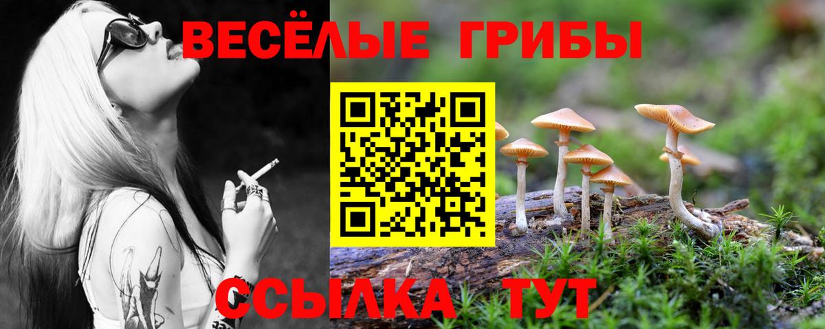 Псилоцибиновые грибы Magic Shrooms  Вход с VPN  Тара 