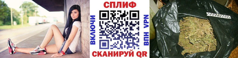 Бошки марихуана гибрид  Тара 